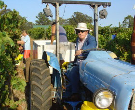 Pokolbin Brothers Wines Hunter Valley - Attractions Brisbane 1