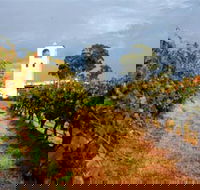 Bimbadgen Winery - Attractions Brisbane