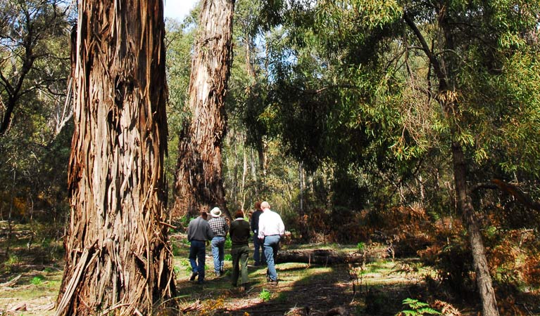 Boro NSW Attractions Brisbane