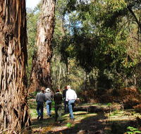 Tallaganda National Park - Attractions Brisbane