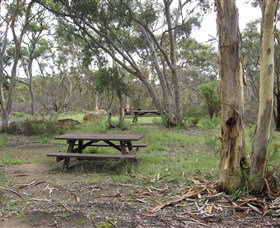 Box Vale Picnic Area - Attractions Brisbane 2