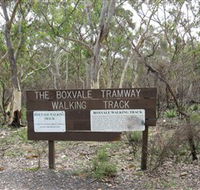 Box Vale Picnic Area - Attractions Brisbane
