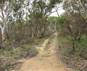 Box Vale Picnic Area - Attractions Brisbane 4