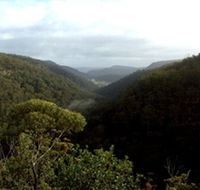 Nattai Gorge Lookout - Attractions Brisbane