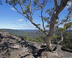 Nattai Gorge Lookout - Attractions Brisbane 1