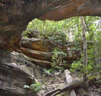 Cave Creek Walking Track - Attractions Brisbane