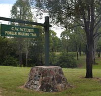 Pioneer Country Park - Attractions Brisbane
