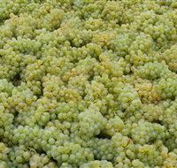 Normanby Wines - Attractions Brisbane