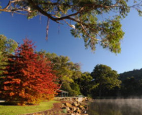 Lake Alexandra Reserve - Attractions Brisbane 1