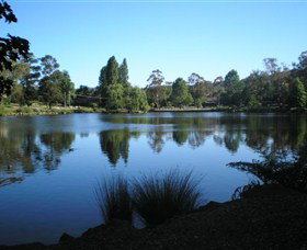 Lake Alexandra Reserve - Attractions Brisbane 3