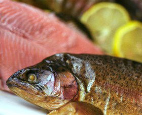 Lovedale Smokehouse Gourmet Pantry, Cafe And Masterclasses - Attractions Brisbane 0