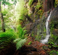 Fairy Bower Falls - Attractions Brisbane