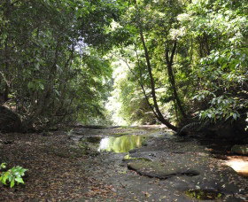 State Forests Of The Watagan Mountains - Attractions Brisbane 1