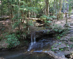 State Forests Of The Watagan Mountains - Attractions Brisbane 3