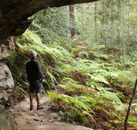 Dharug National Park - Attractions Brisbane