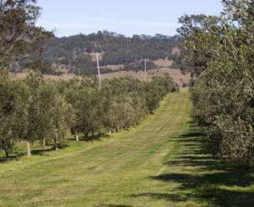 Bunna Bunoo Olive Grove - Attractions Brisbane 1