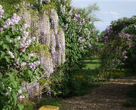 Back O The Moon - Attractions Brisbane 3