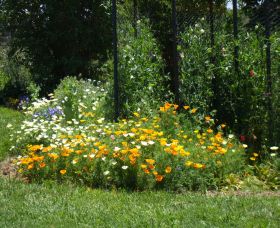 Back O The Moon - Attractions Brisbane 2