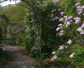 Back O The Moon - Attractions Brisbane 4