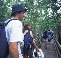 Bellthorpe National Park - Attractions Brisbane
