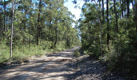 Werakata National Park - Attractions Brisbane 2