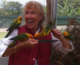 Maleny Botanic Gardens & Bird World - Attractions Brisbane 0