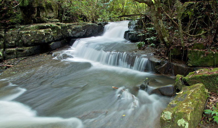Bandon Grove NSW Attractions Brisbane