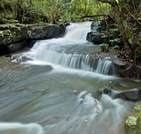 Jerusalem Creek trail - Attractions Brisbane