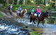 Glenworth Valley Horse Riding - thumb 1