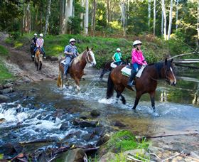 Glenworth Valley Horse Riding - Attractions Brisbane 1