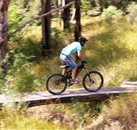 The Steps Mountain Bike Park - Attractions Brisbane