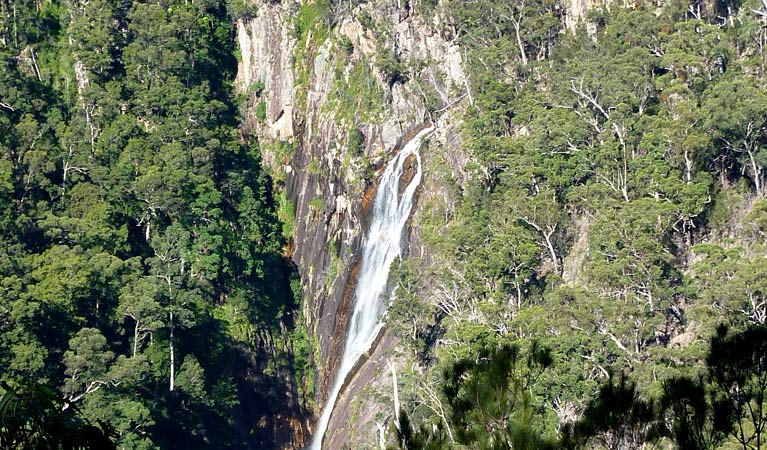 Carrai NSW Attractions Brisbane