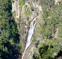 Carrai National Park - Attractions Brisbane
