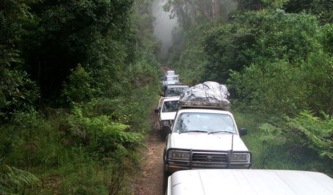 Carrai National Park - Attractions Brisbane 3