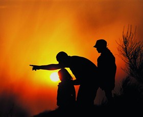 Mallanganee Lookout - Attractions Brisbane 1