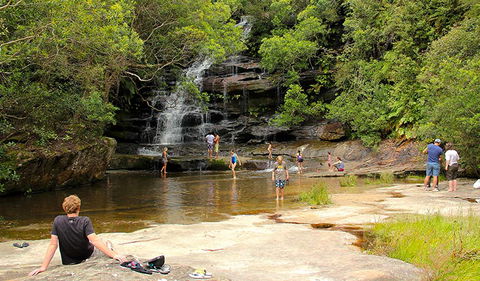 Somersby Falls Picnic Area - Attractions Brisbane 0