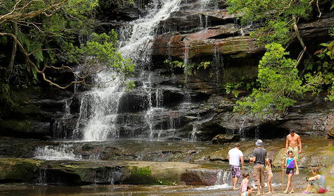 Somersby Falls Picnic Area - Attractions Brisbane 2