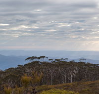 Mount Budawang trail - Attractions Brisbane