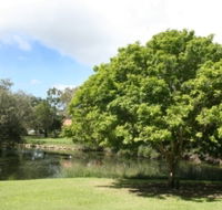 Hervey Bay Botanic Gardens - Attractions Brisbane