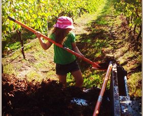 East Gippsland Wines - Attractions Brisbane 5