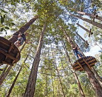 TreeTop Adventure Park Central Coast - Attractions Brisbane