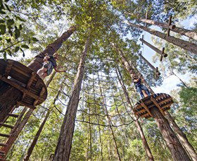 TreeTop Adventure Park Central Coast - Attractions Brisbane 0