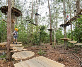 TreeTop Adventure Park Central Coast - Attractions Brisbane 1