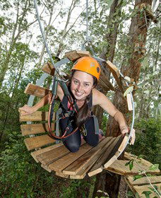TreeTop Adventure Park Central Coast - Attractions Brisbane 3