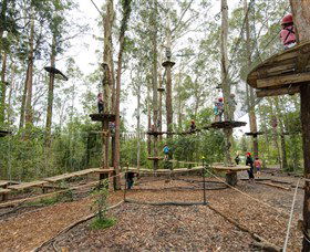 TreeTop Adventure Park Central Coast - Attractions Brisbane 5