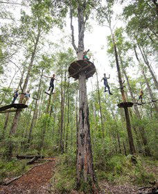 TreeTop Adventure Park Central Coast - Attractions Brisbane 4