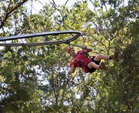 TreeTops Crazy Rider - Attractions Brisbane 1