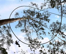 TreeTops Crazy Rider - Attractions Brisbane 0