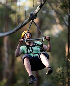TreeTops Crazy Rider - Attractions Brisbane 2
