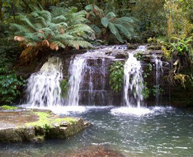 Barrington Tops National Park Walks - Attractions Brisbane 0